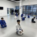 민앤마이노 유도&주짓수 현풍점 이미지