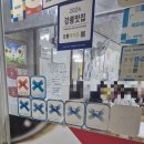 월성식당 | 강릉에서 처음 먹어본 동해안 생선 장치로 만드는 장치찜 ! 월성식당 후기