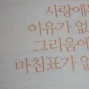 드리고 이미지