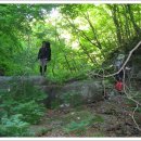 청산별곡 이미지