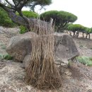 내서읍1171 이미지