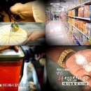 스페셜독 이미지