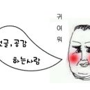 지마이다스주 이미지