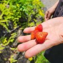 용인향교로 이미지