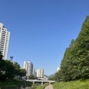 남한산성 카페 몽쥬이에