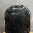 탈모 고민에 진심이라면?직접 써본 연예인 탈모샴푸 <카론바이오 C3 샴푸> 솔직 후기