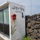 제주도 4박 5일 여행 후기 - 월정리편 이미지