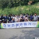 봉화청과