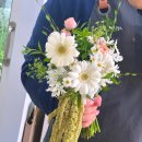 서림화