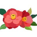 온천천시민공원 동백 이미지