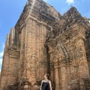 티(T)멀티샵 | 나트랑 쇼핑 스팟 총정리 솔직후기 꿀팁 🛒-담시장, 짭샵, T샵 켄켄, 슈렉샵, 센트럴마켓, 악어샵 등