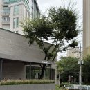 촌카페 | 대구 수성구 신상카페 아눅만촌 오픈런후기 고막주의