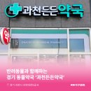 과천든든약국 이미지