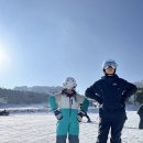 강원도 평창여행 이엠스포츠 용평 장비렌탈샵추천/용평리조트 스키장