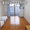 희진민박
