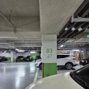 (주)다담게임 | 송도 타임스페이스 CGV 리클라이너 4관 마루는강쥐 관람후기 + 기타 육아일상