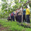 수출 농산물 이미지