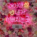 블루썬네일