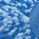 리오라여성의원 이미지