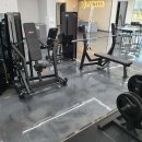 윌 휘트니스 이미지