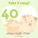 [임신일기] 40주 : 2월 21일, 40w 3d에 제왕절개로 꼬미 만나다