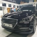 사각지카 이미지