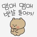 F45 | 2024년 2월:: 점심 저녁 야식 + 쏘주 이렇게 4끼 먹는 삶