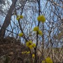 양지꽃펜션 이미지