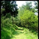 안면도자연휴양림 이미지