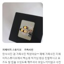 지이스튜디오 이미지