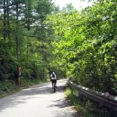 분당-300 이미지