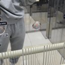 레이저아레나엑스 제주점