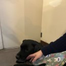 경기도 수원시 권선구 권선로 564 (세류동) 이미지