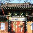 구룡산 통천사 (九龍山 通天寺) - 대구 동구 효목동 이미지