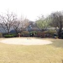 세무법인장원 이미지