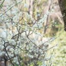 충렬사화장실 이미지