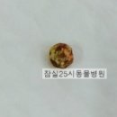 25시 종합동물병원 이미지