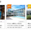제주대박투어