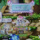오픈카톡 채금 당한 썰 | 288 달성, 그리고 초코링 미담 | 한강 라면 | 롯데월드 후기 +매직패스 10회권