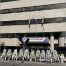 대구시청 앞에 깔린 근조화환 이미지