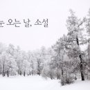 소설 - 속초시 | 소설