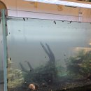 달팽이방갈로 이미지