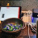남제주새마을금고 제1분사무소 | 수내역 맛집 고기집 제주몬트락 분당수내점 제주백돼지 통갈비 후기