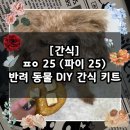 [간식] 파이 25 글루텐프리 저알러지 강아지 간식 / ㅍㅇ25 반려동물 DIY 간식 키트