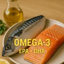 생선구이 이미지