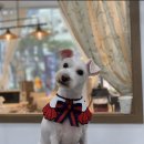 덕이 미장원 이미지