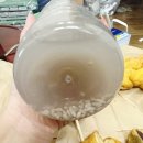 찰꽈도오미자찹쌀꽈배기 경기지사 이미지