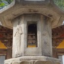 사이박천 | 단종과 금성대군