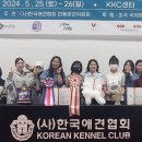 벨라루시애견미용학원 이미지