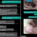 충남 동물병원 이미지